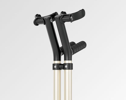 The Y-Cane